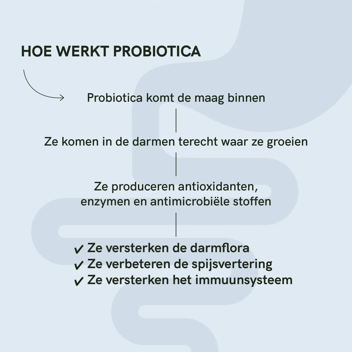 3voor2: Probiotica