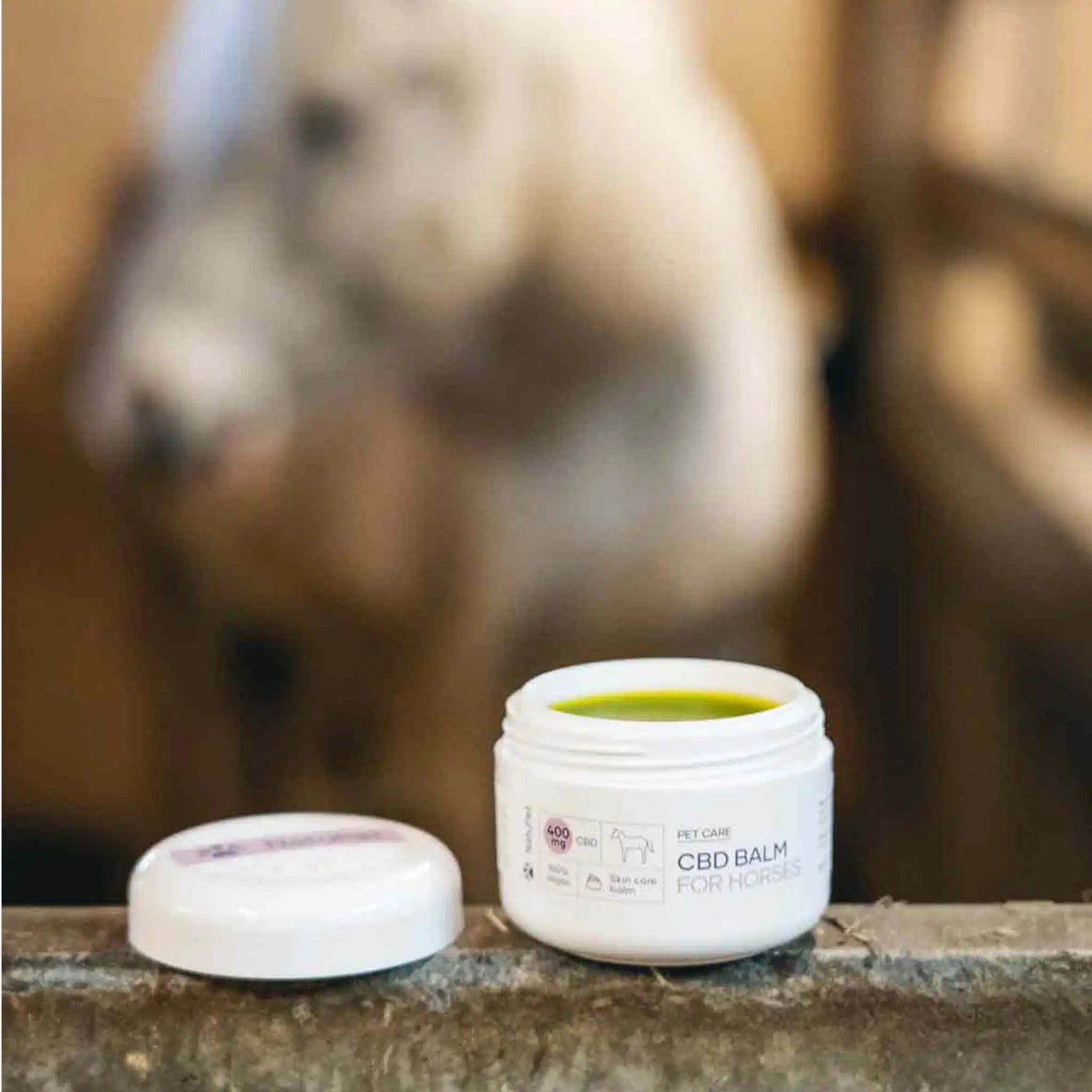 een open CBD balsem staat voor een wit paard