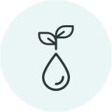 plant boven een druppel logo