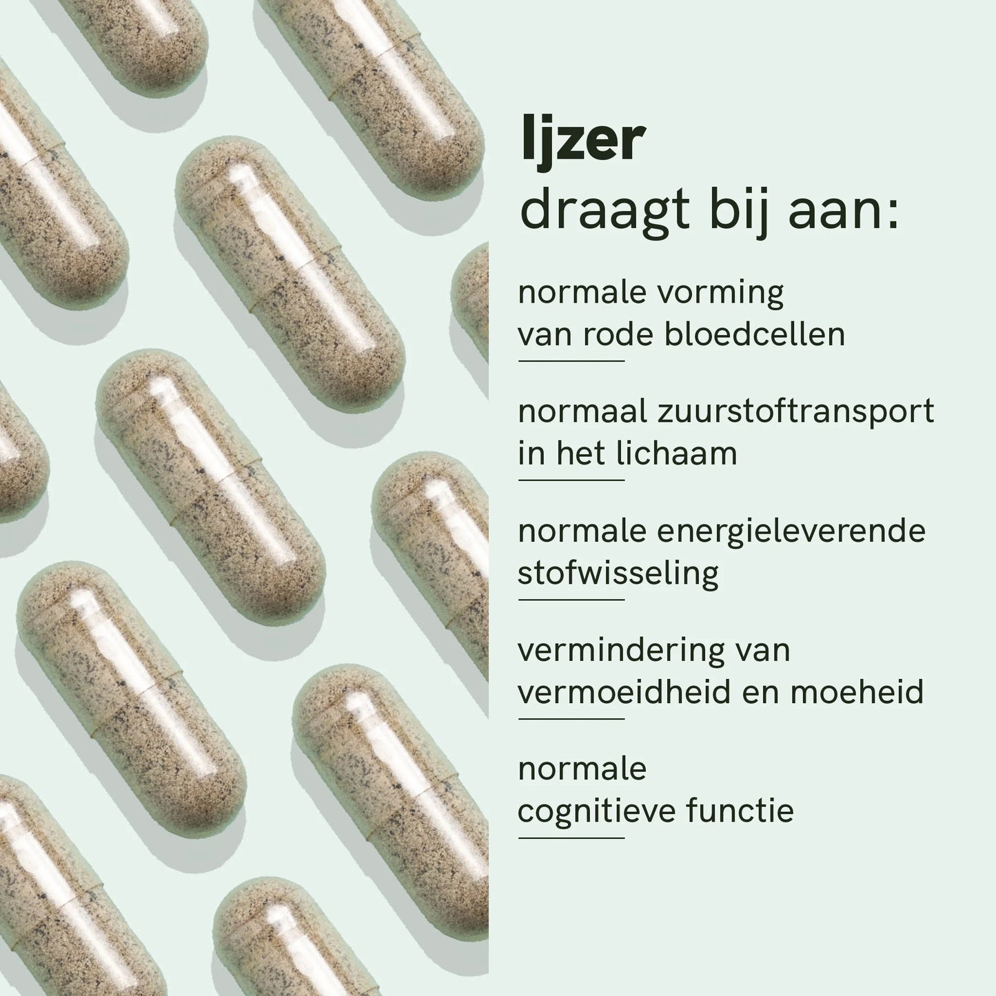Ijzer- en Vitamine C Capsules