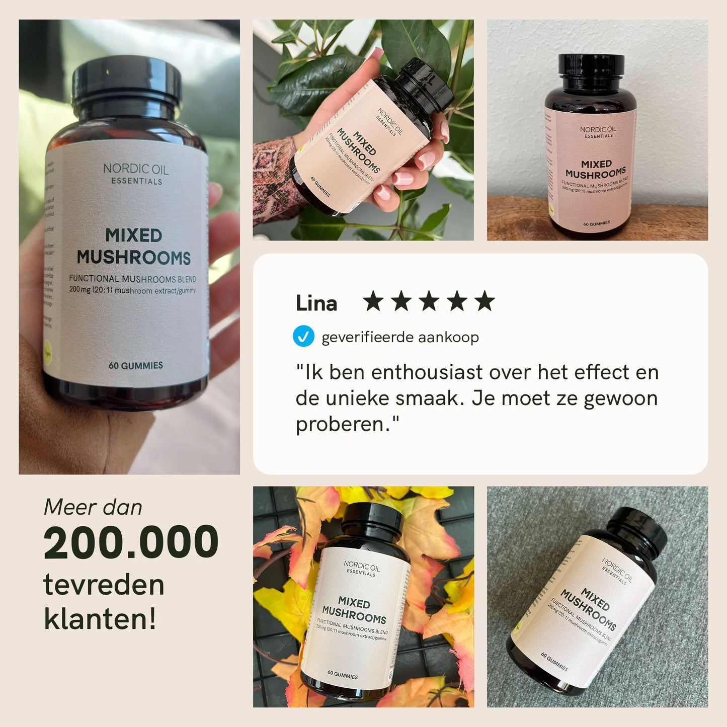 Gemengde paddenstoelen