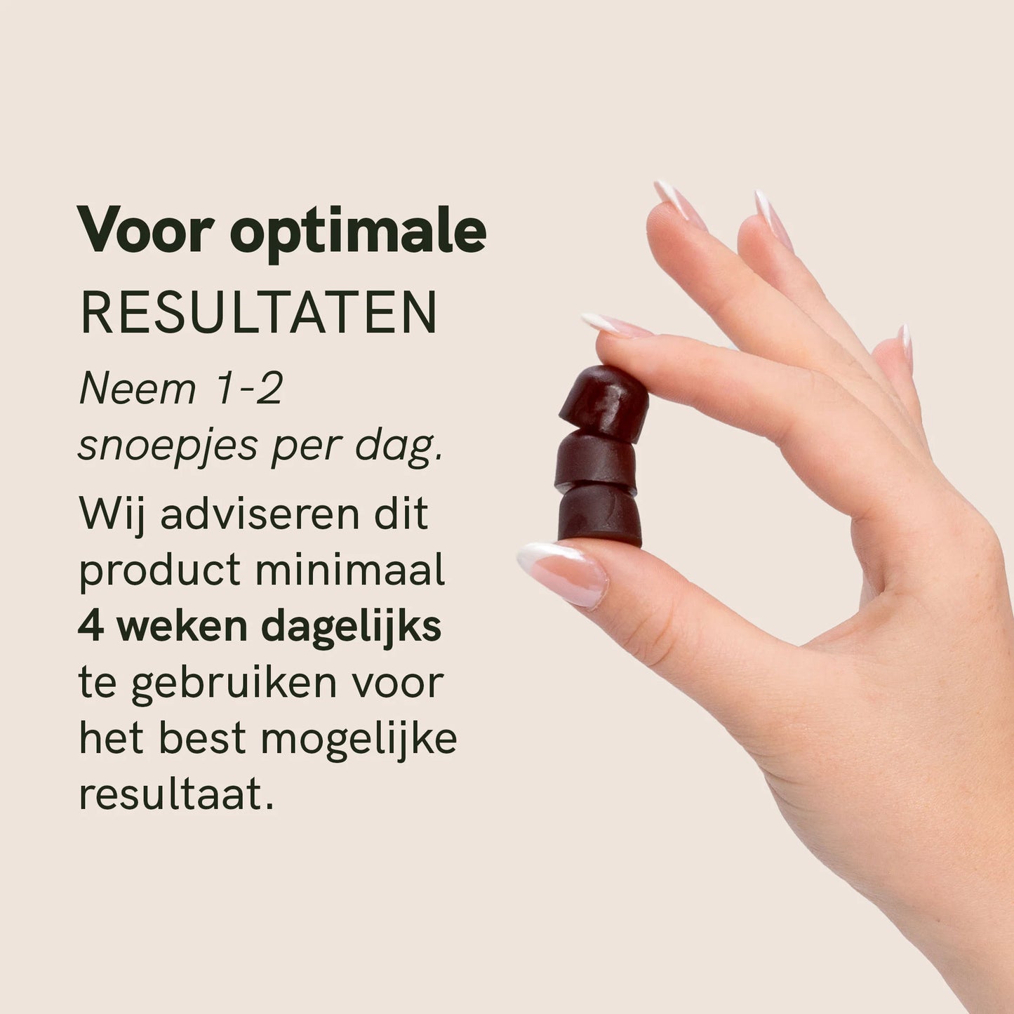 Gemengde paddenstoelen