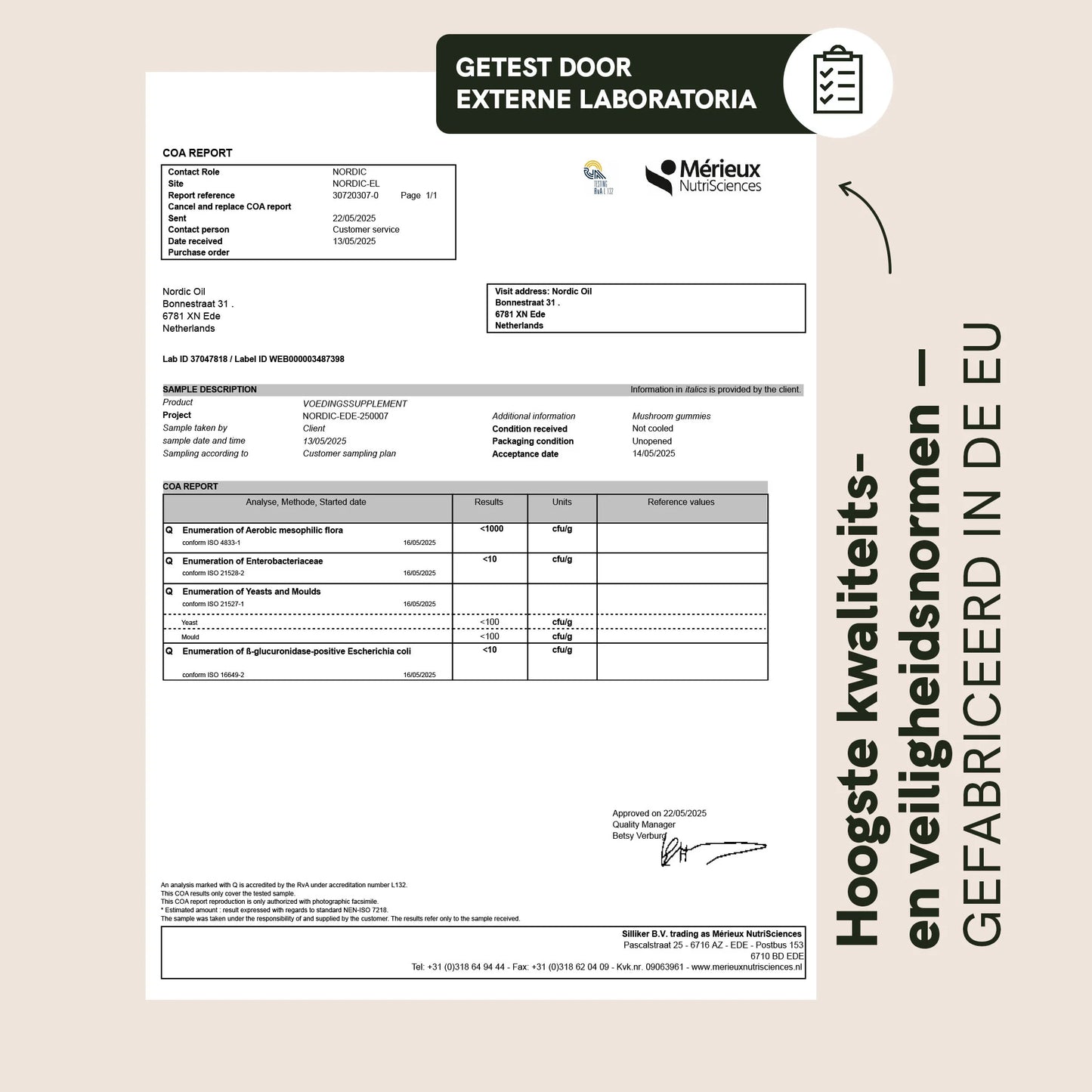 Gemengde paddenstoelen