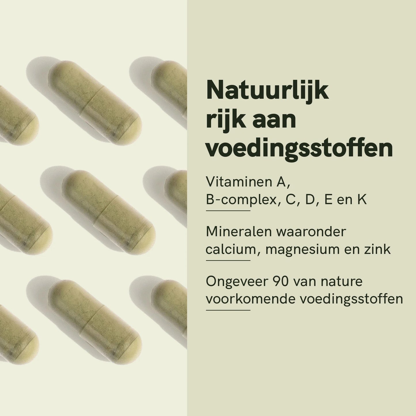 Moringa-poeder capsules