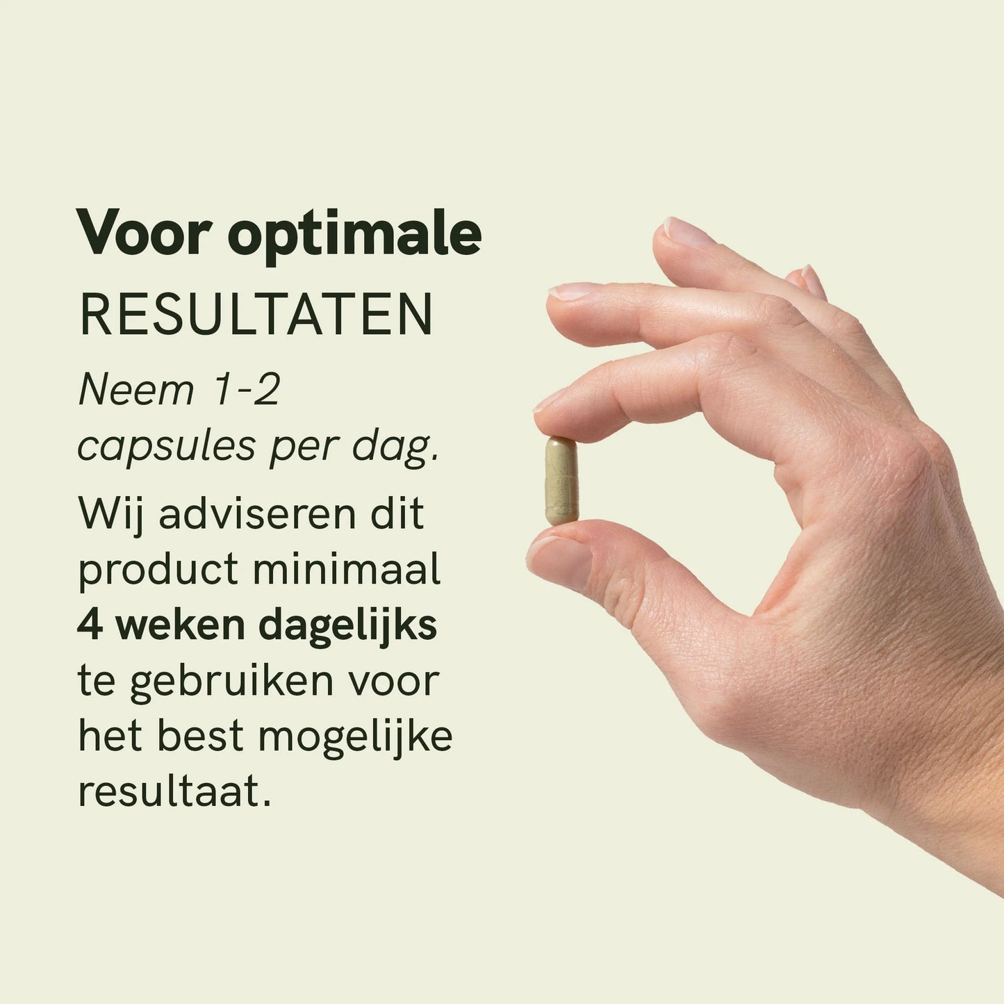 Moringa-poeder capsules