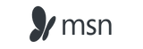 MSN logo klein