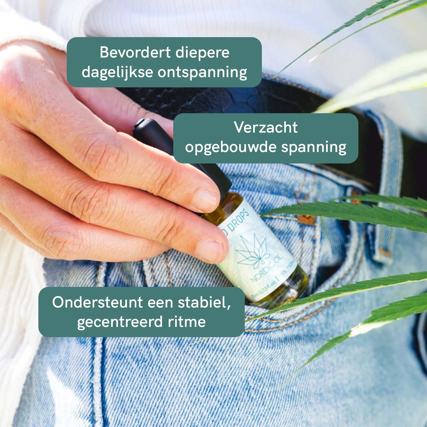 CBD olie (15%) CLASSIC