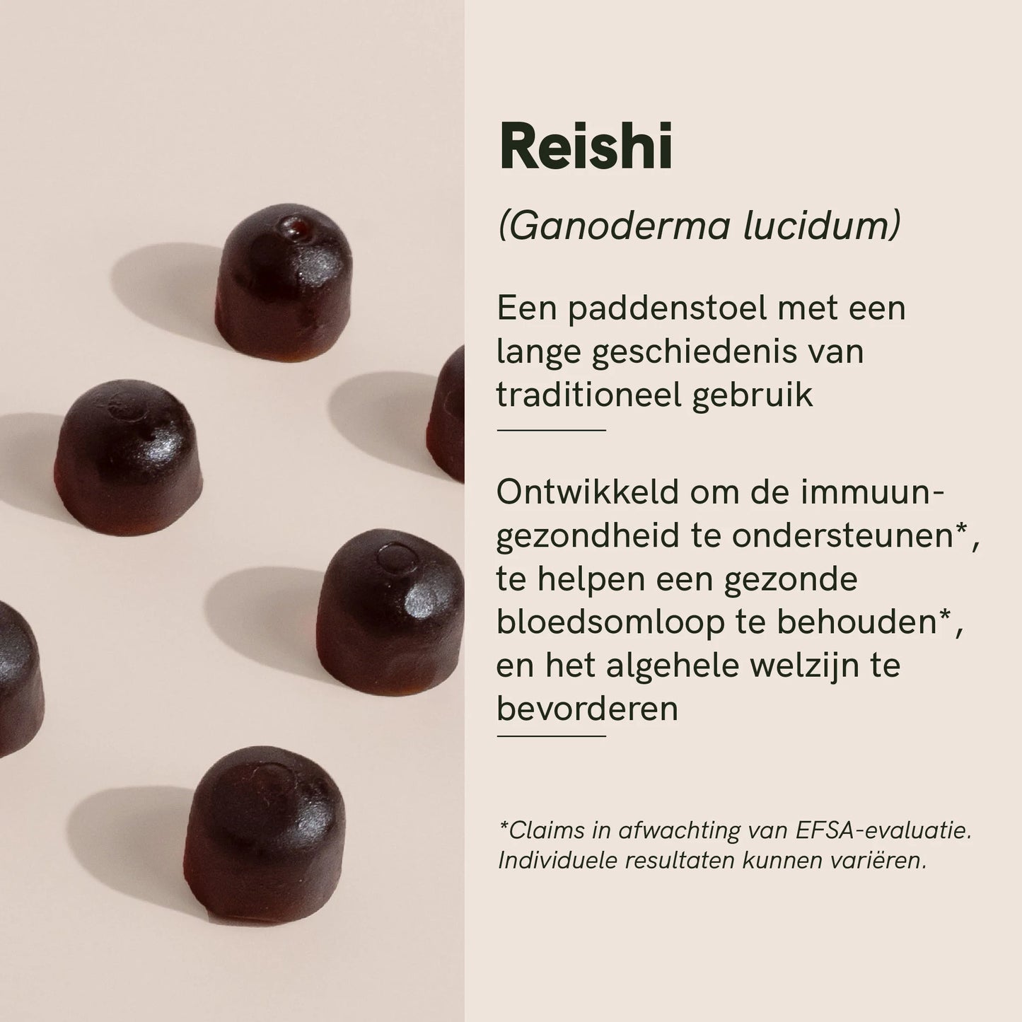 Reishi Gummies